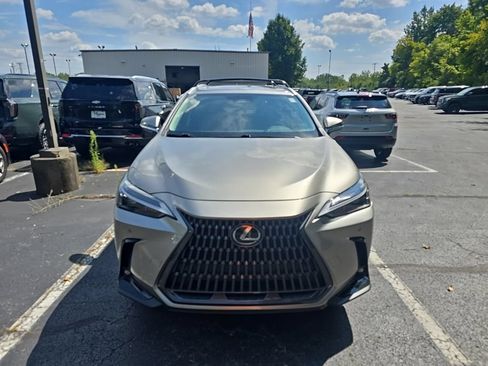 Used 2025 Lexus NX 250 FWD w/ Cold Area Package image 3