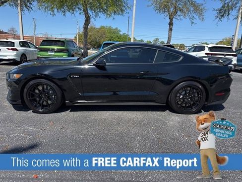 Used 2019 Ford Mustang Shelby GT350 w/ Technology Package image 2