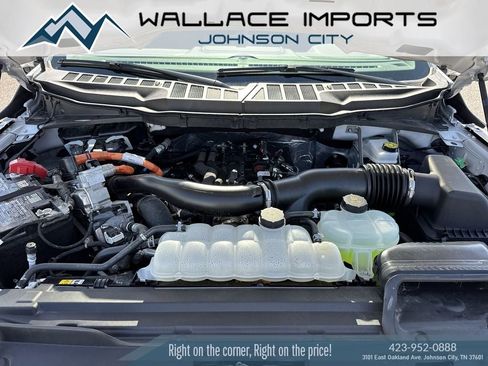Used 2025 Ford F150 XLT w/ Equipment Group 301A Standard AWD/4WD image 42