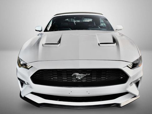 Used 2019 Ford Mustang Premium w/ Equipment Group 201A image 10