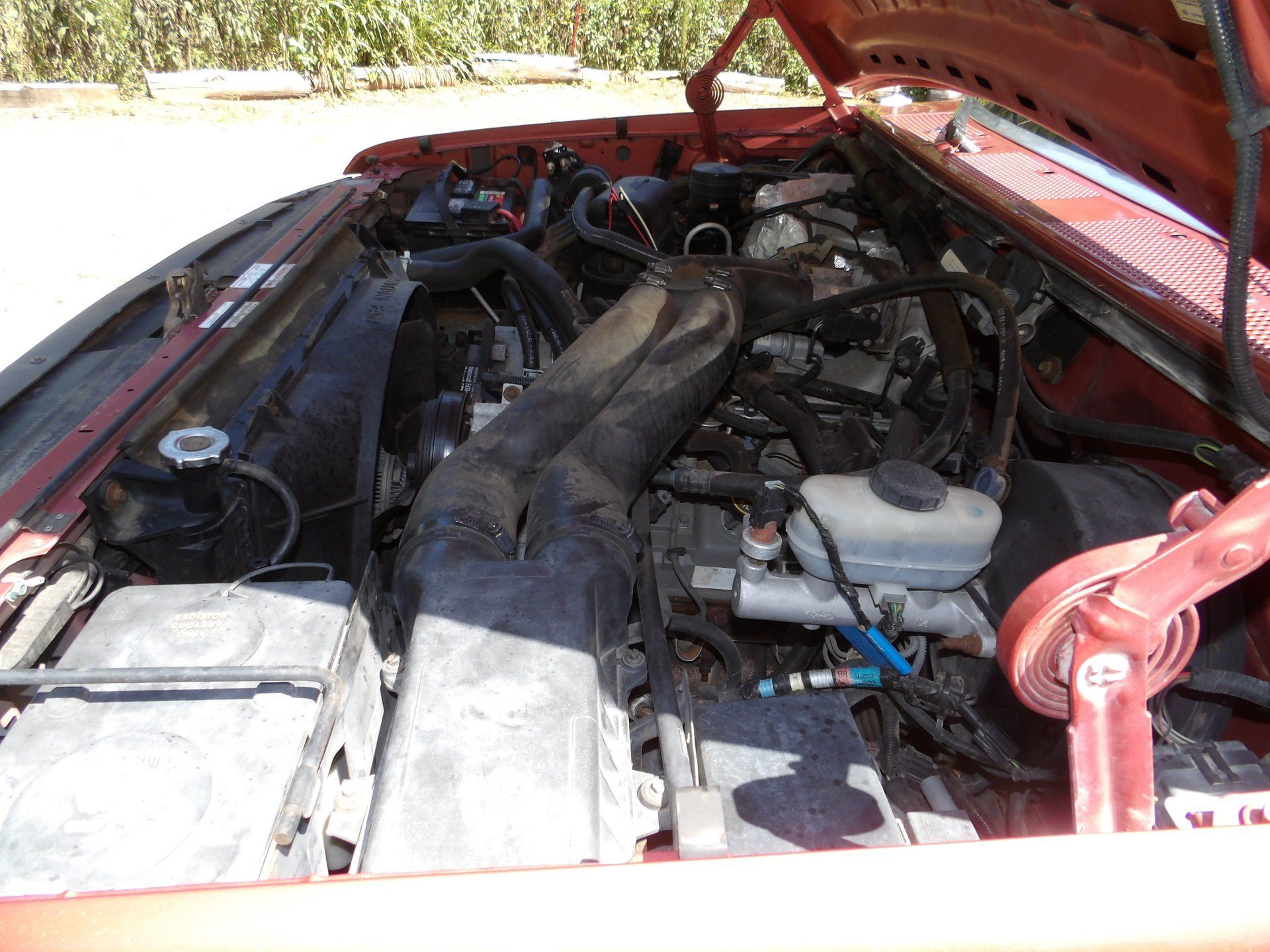 Used 1995 Ford F250 4x4 Regular Cab image 62