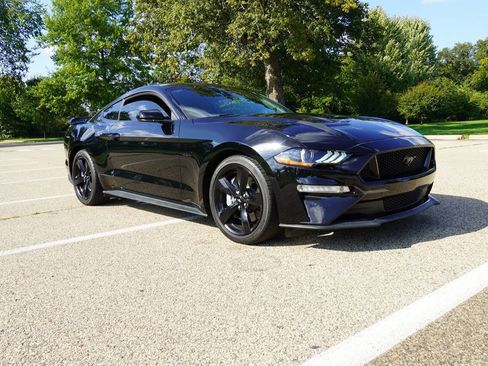 Used 2023 Ford Mustang GT w/ Equipment Group 301A image 2