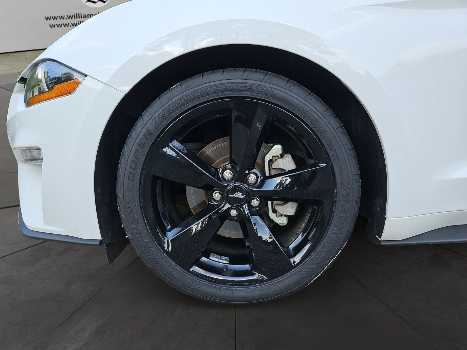 Used 2023 Ford Mustang Coupe w/ Equipment Group 101A RWD image 14