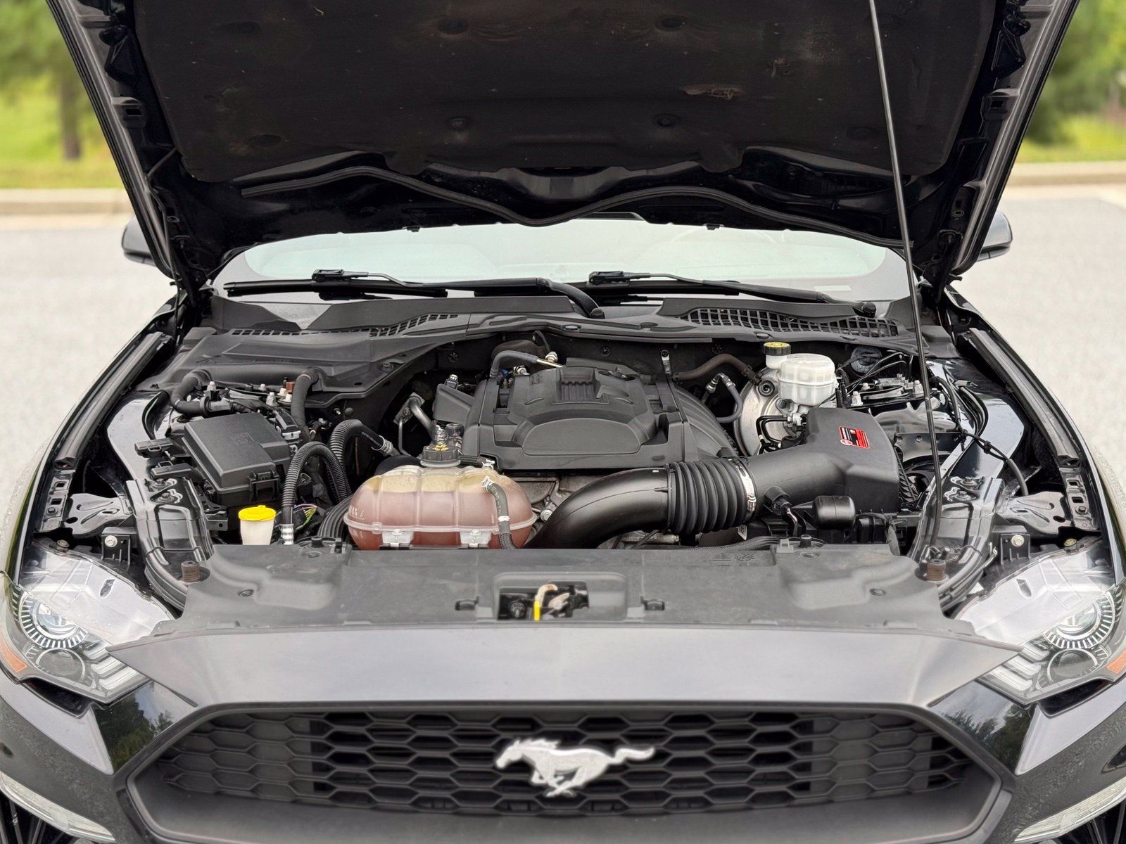Used 2019 Ford Mustang Coupe RWD image 45