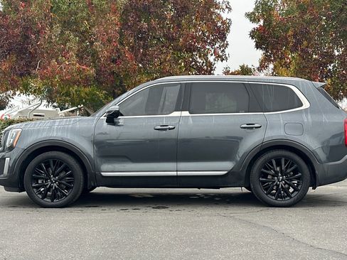 Used 2020 Kia Telluride SX w/ SX Prestige Package image 7