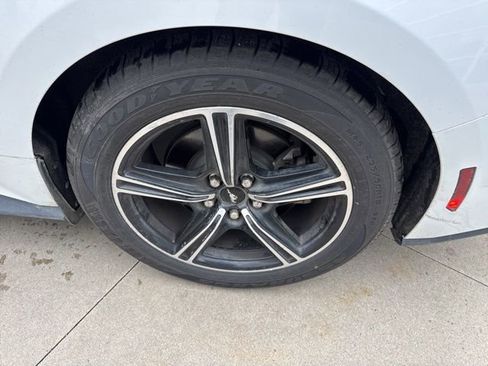 Used 2024 Ford Mustang Premium image 12