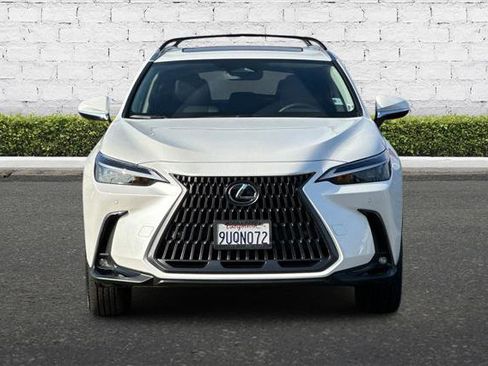 Certified 2025 Lexus NX 350h AWD w/ Premium Package image 10