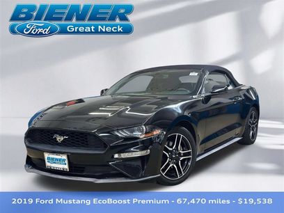 Used 2019 Ford Mustang Premium