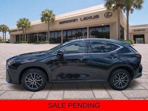Certified 2024 Lexus NX 350h AWD w/ Vision Package image 7