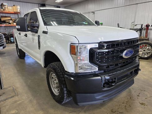 Used 2020 Ford F250 XL w/ Power Equipment Group AWD/4WD image 1
