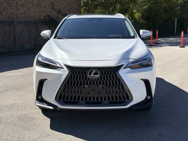 Used 2024 Lexus NX 350 AWD image 2