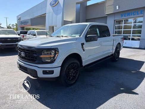New 2026 Ford F150 XLT w/ XLT Black Appearance Package image 4