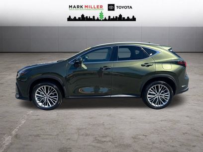 Used 2025 Lexus NX 350h AWD w/ Cold Area Package