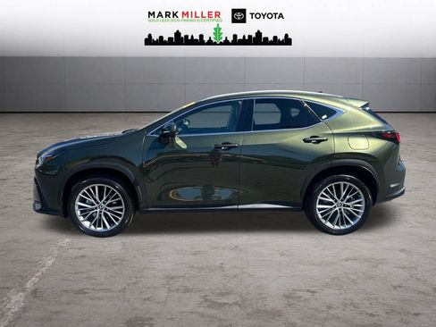 Used 2025 Lexus NX 350h AWD w/ Cold Area Package image 2