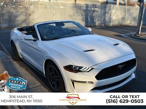 Used 2023 Ford Mustang Premium w/ Equipment Group 201A RWD image 4