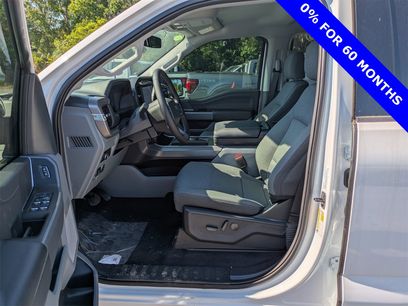 New 2025 Ford F150 XLT w/ Equipment Group 303A High