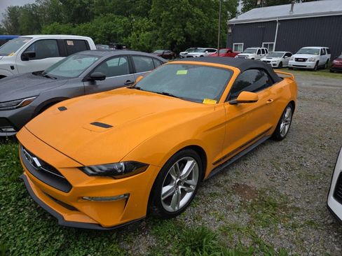 Used 2019 Ford Mustang Premium w/ Pony Package RWD image 3