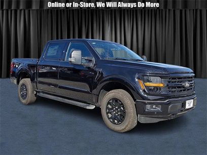 Used 2025 Ford F150 XLT w/ Equipment Group 302A MID