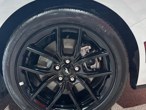 Used 2025 Ford Mustang GT w/ Mustang Nite Pony Package image 14