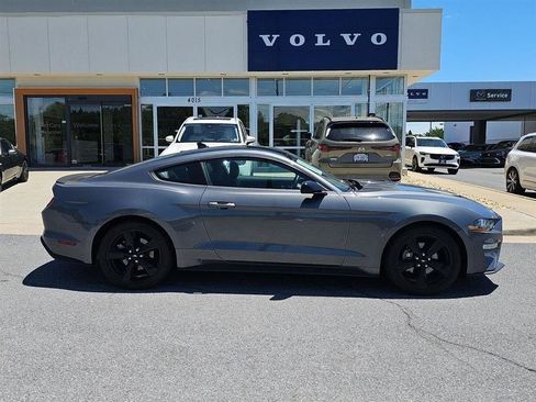Used 2023 Ford Mustang Premium w/ Mustang Nite Pony Package RWD image 6