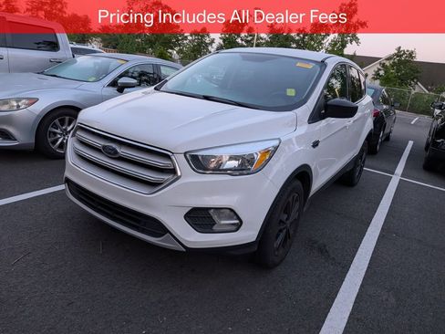 Used 2019 Ford Escape SE FWD image 3