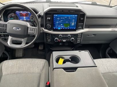 Used 2023 Ford F150 XLT w/ Equipment Group 302A High