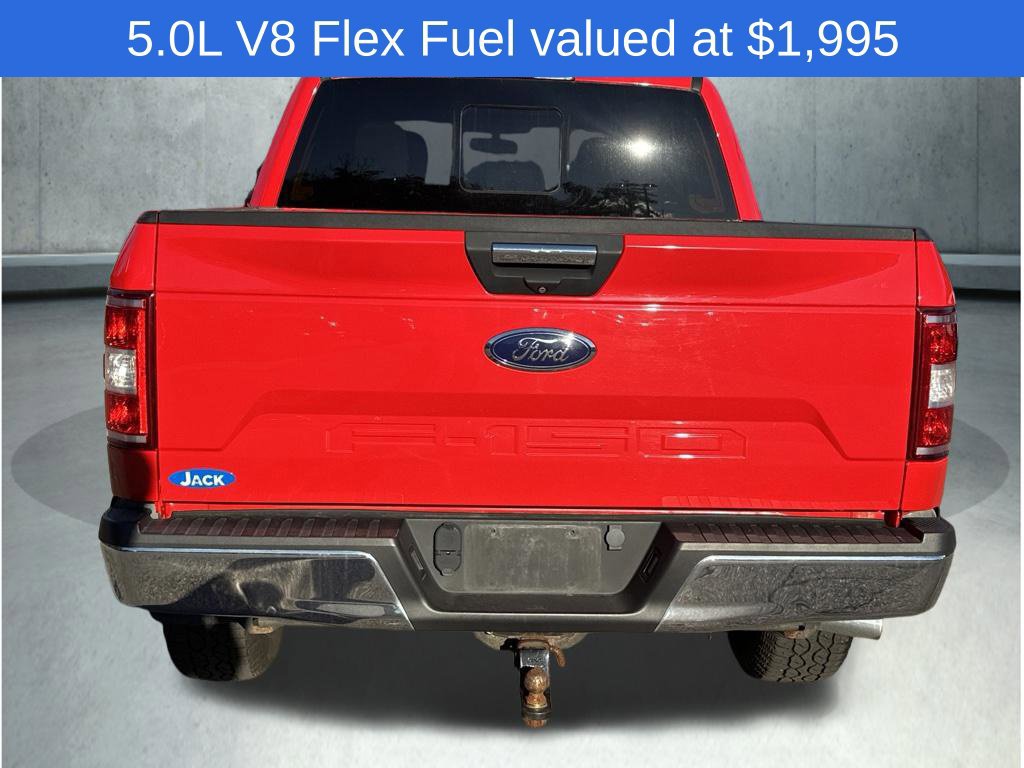 Used 2019 Ford F150 XLT w/ Equipment Group 302A Luxury AWD/4WD image 6
