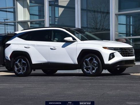 Used 2024 Hyundai Tucson Limited image 1