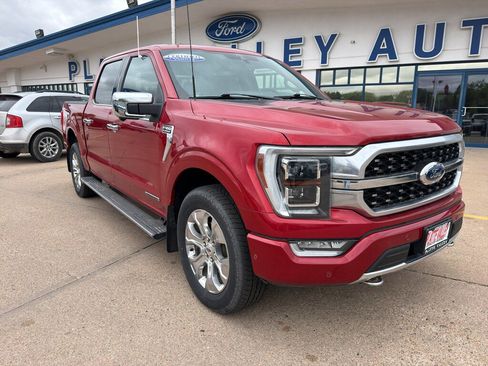 Certified 2021 Ford F150 Platinum w/ Equipment Group 701A High AWD/4WD image 2