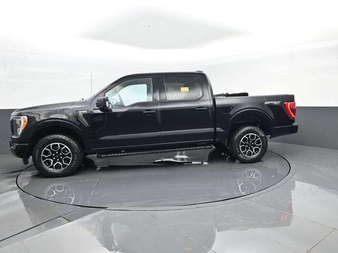 Used 2023 Ford F150 XLT w/ Equipment Group 302A High AWD/4WD image 5