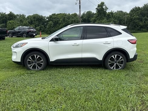 Used 2021 Ford Escape SEL w/ SEL Stealth AWD Package image 3