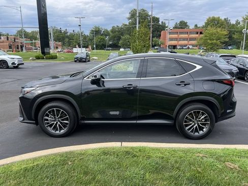 Used 2025 Lexus NX 350h AWD w/ Cold Area Package image 6