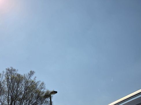 Used 2023 Volkswagen Tiguan SE image 10