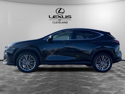Used 2025 Lexus NX 350 AWD w/ Accessory Package (2T) image 3