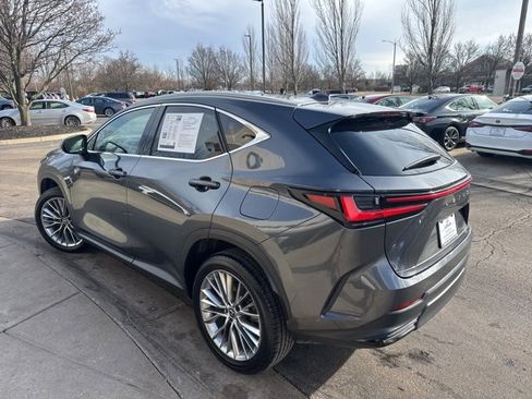 Used 2025 Lexus NX 350h AWD w/ Premium Package image 5