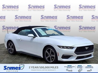 Used 2024 Ford Mustang Premium