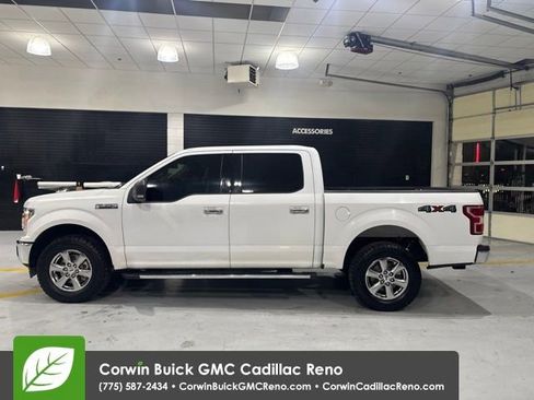 Used 2019 Ford F150 XLT w/ Equipment Group 302A Luxury AWD/4WD image 5