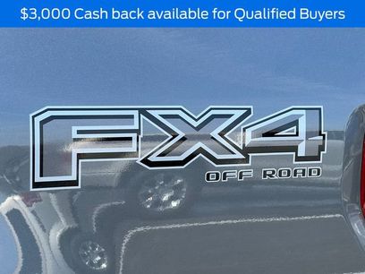 New 2026 Ford F150 XLT w/ Equipment Group 302A MID