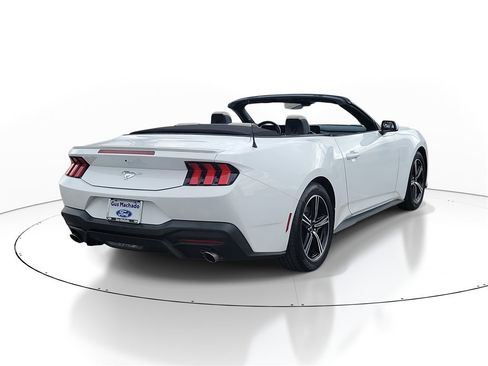 Certified 2025 Ford Mustang Premium image 4