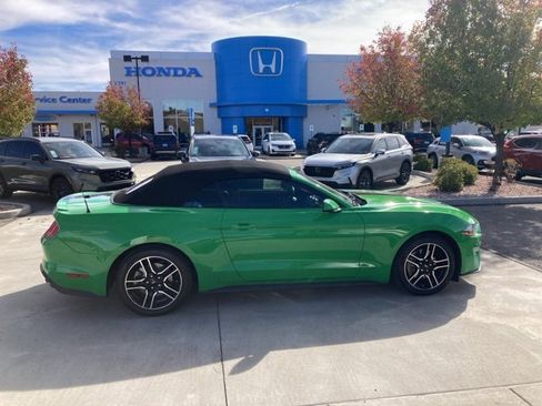 Used 2019 Ford Mustang Premium w/ Equipment Group 201A image 5