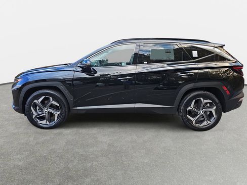 New 2024 Hyundai Tucson Limited image 8