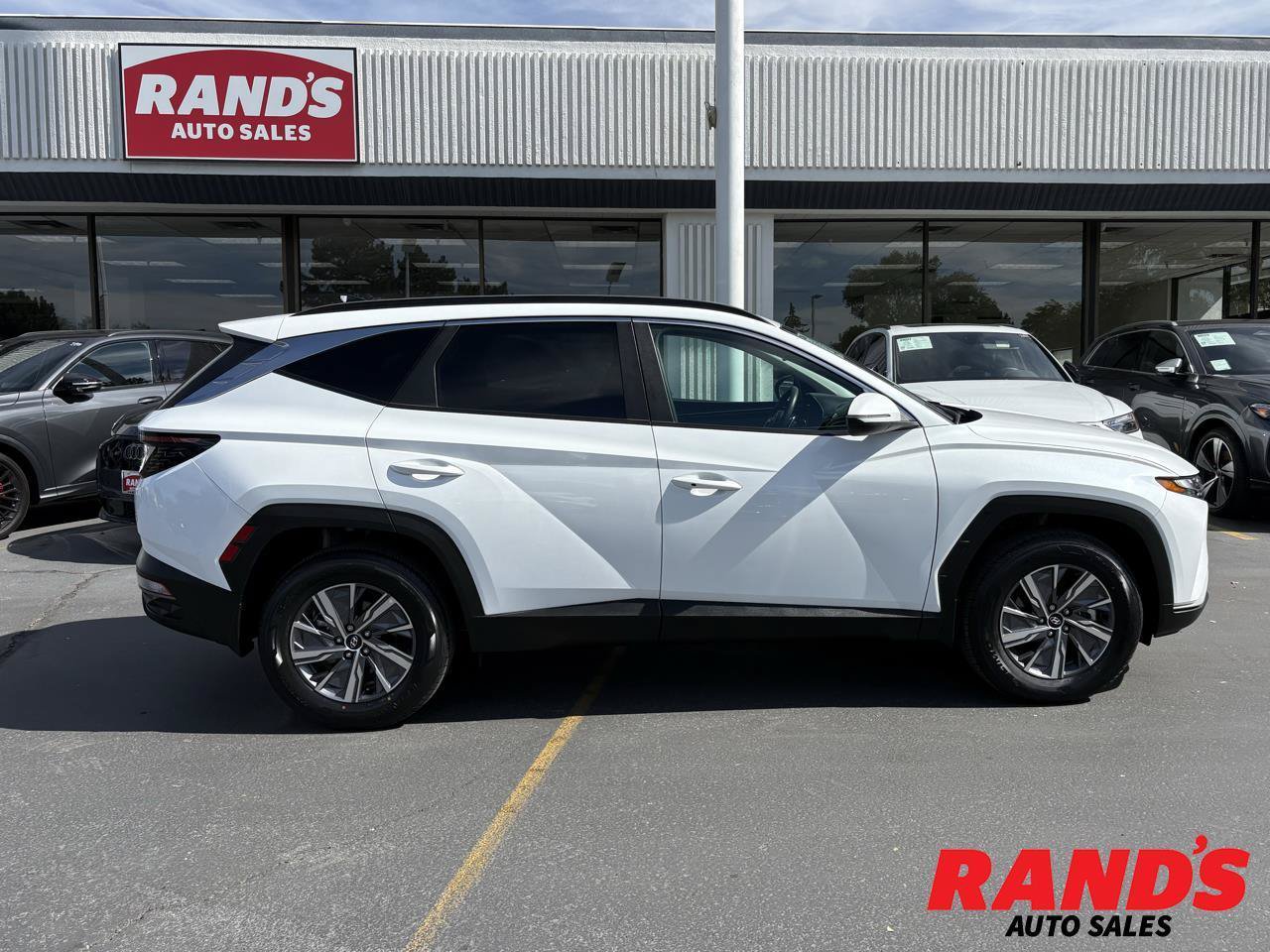 Used 2022 Hyundai Tucson Blue AWD/4WD image 1