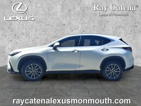 Certified 2023 Lexus NX 250 AWD w/ Cold Area Package image 4