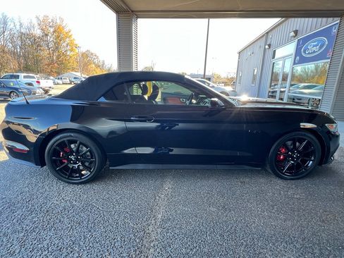 Used 2016 Ford Mustang GT Premium w/ Equipment Group 401A image 9