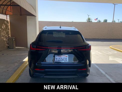 Used 2024 Lexus NX 250 AWD w/ Cold Area Package image 5