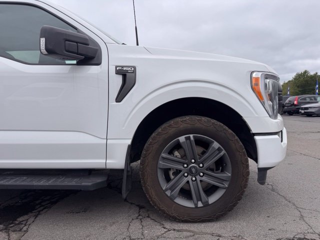 Used 2023 Ford F150 XLT w/ Equipment Group 302A High AWD/4WD image 11