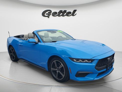 Used 2024 Ford Mustang Premium RWD image 3