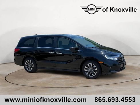 Used 2024 Honda Odyssey EX-L image 1