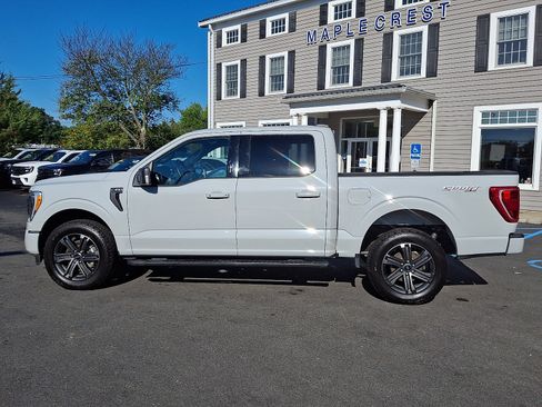 Used 2023 Ford F150 XLT w/ Equipment Group 302A High AWD/4WD image 8