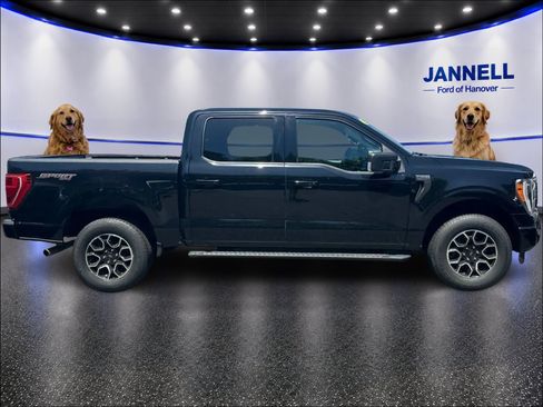 Used 2023 Ford F150 XLT w/ Equipment Group 302A High AWD/4WD image 4